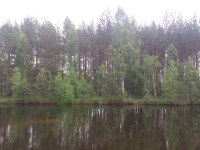 У озера